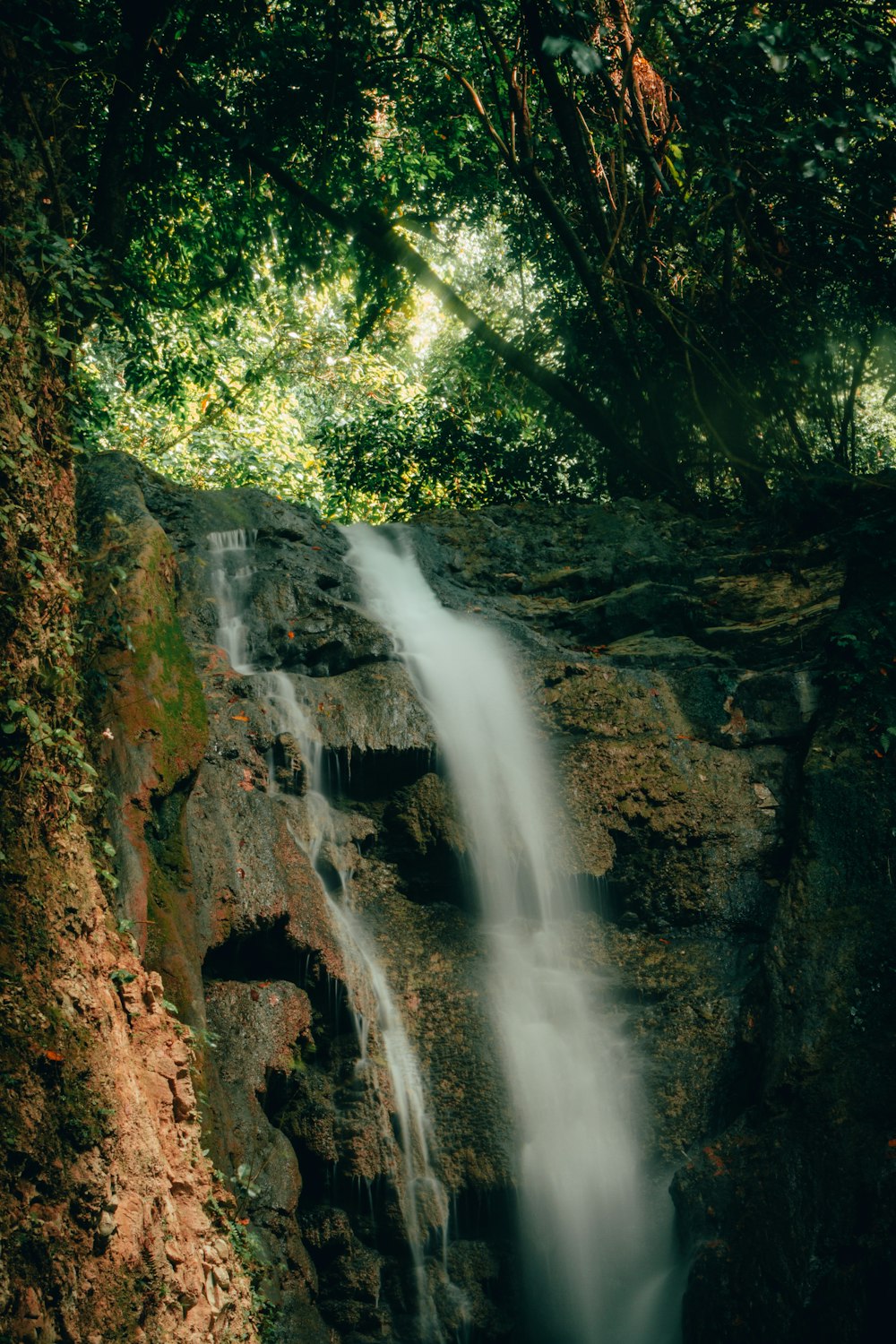 a small waterfall in the middle of a forest