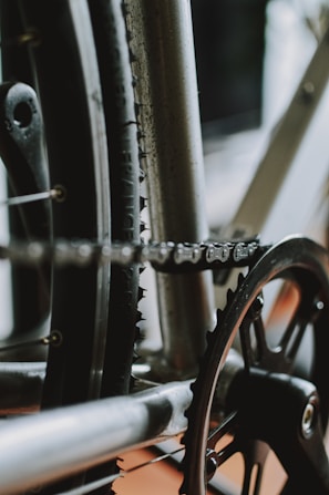 Close-up view of a bicycle's drivetrain, featuring the chain, gear, and sections of the wheel. The metal components show signs of wear and use, with the chain fitted securely on the gear.