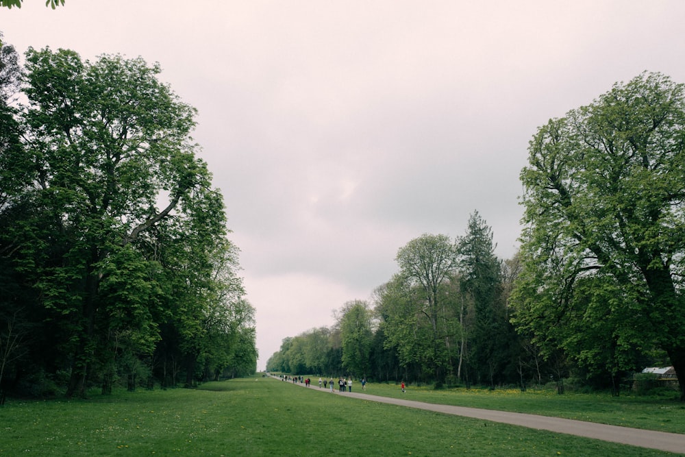 a group of people walking down a path in a park