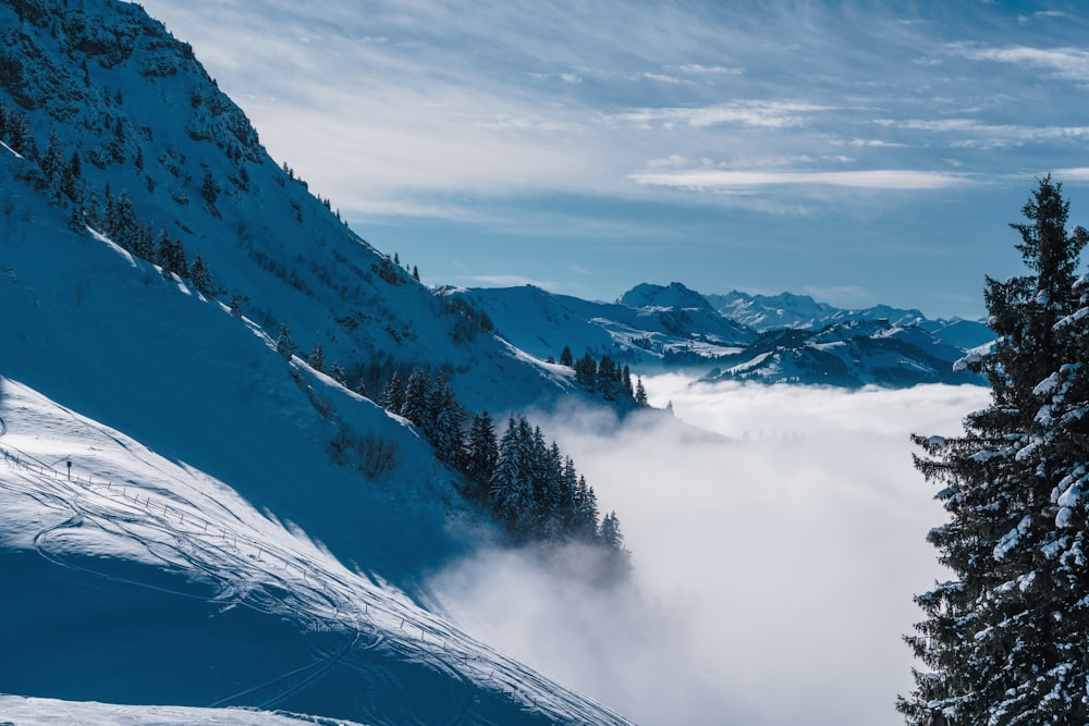 ein schneebedeckter Berg mit Bäumen und Wolken im Vordergrund