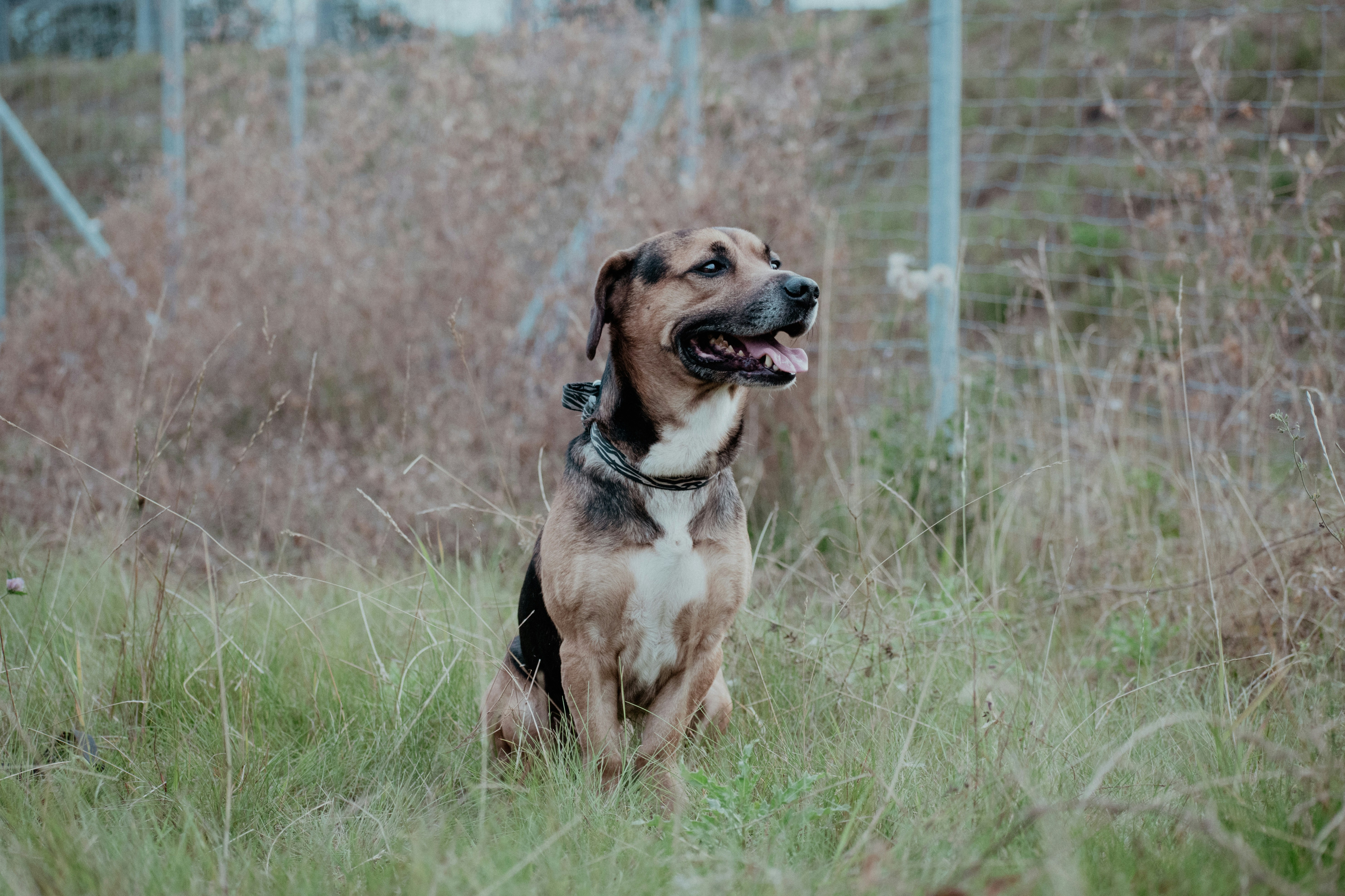 Photo by colorful_jelly