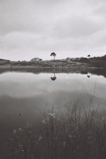 A serene black and white landscape featuring a lone tree under a cloudy sky.