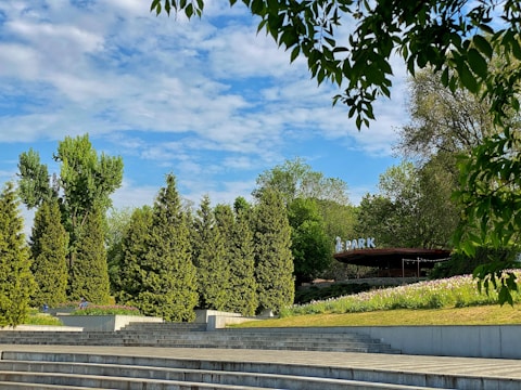 An outdoor scene featuring a landscaped park area with multiple levels of stair-like concrete terraces. Tall, dense evergreen trees and other lush greenery populate the area, with a partly cloudy blue sky above. A section of a sign reading 'PARK' is visible in the background, partially obscured by the foliage.