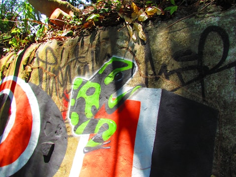 A wall features vibrant graffiti art, including a stylized frog with bright green and black markings perched against an abstract background of red, white, and black shapes. Surrounding foliage and roots add a natural element, while sunlight casts dynamic shadows across the scene.