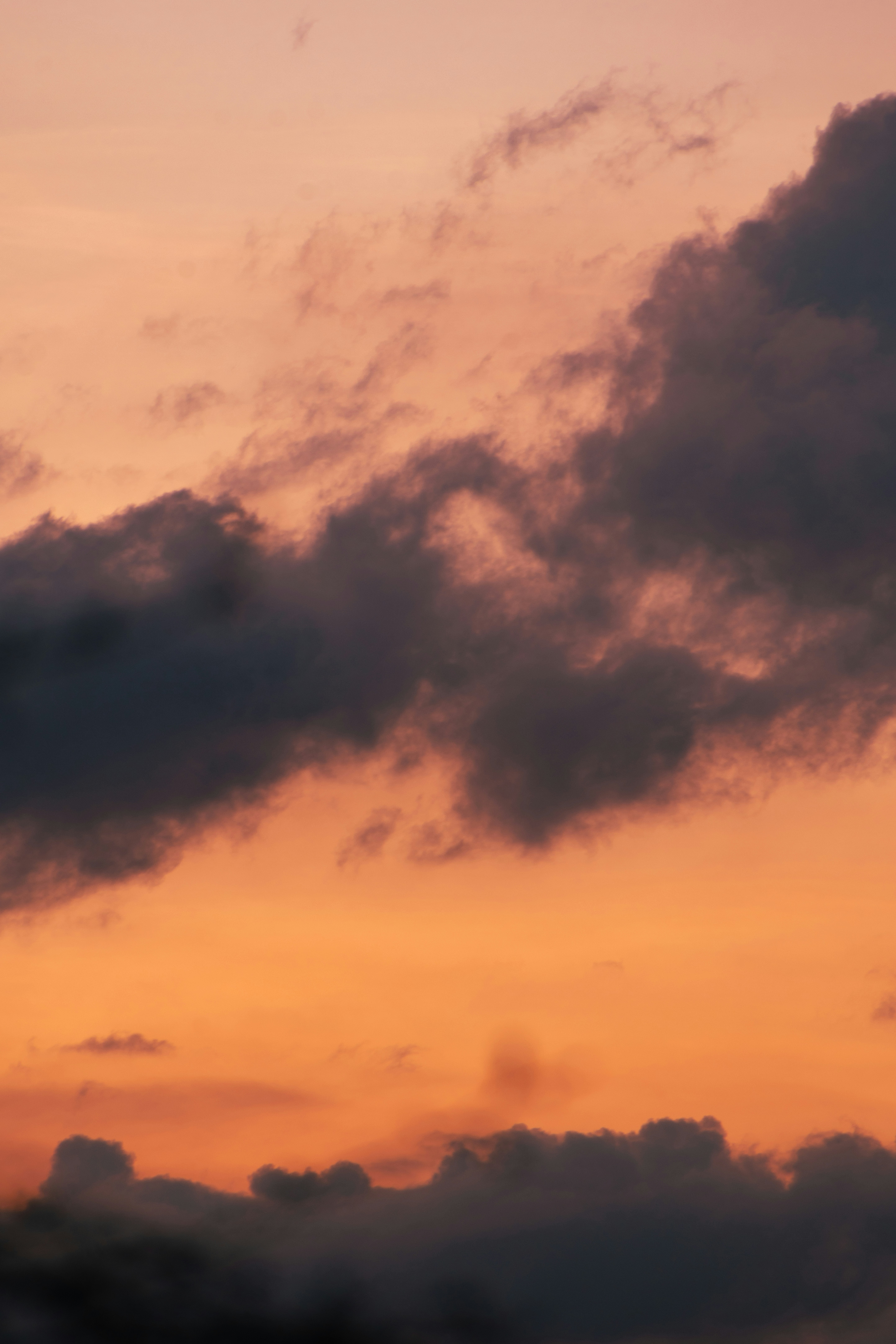 Photo by stevecameup