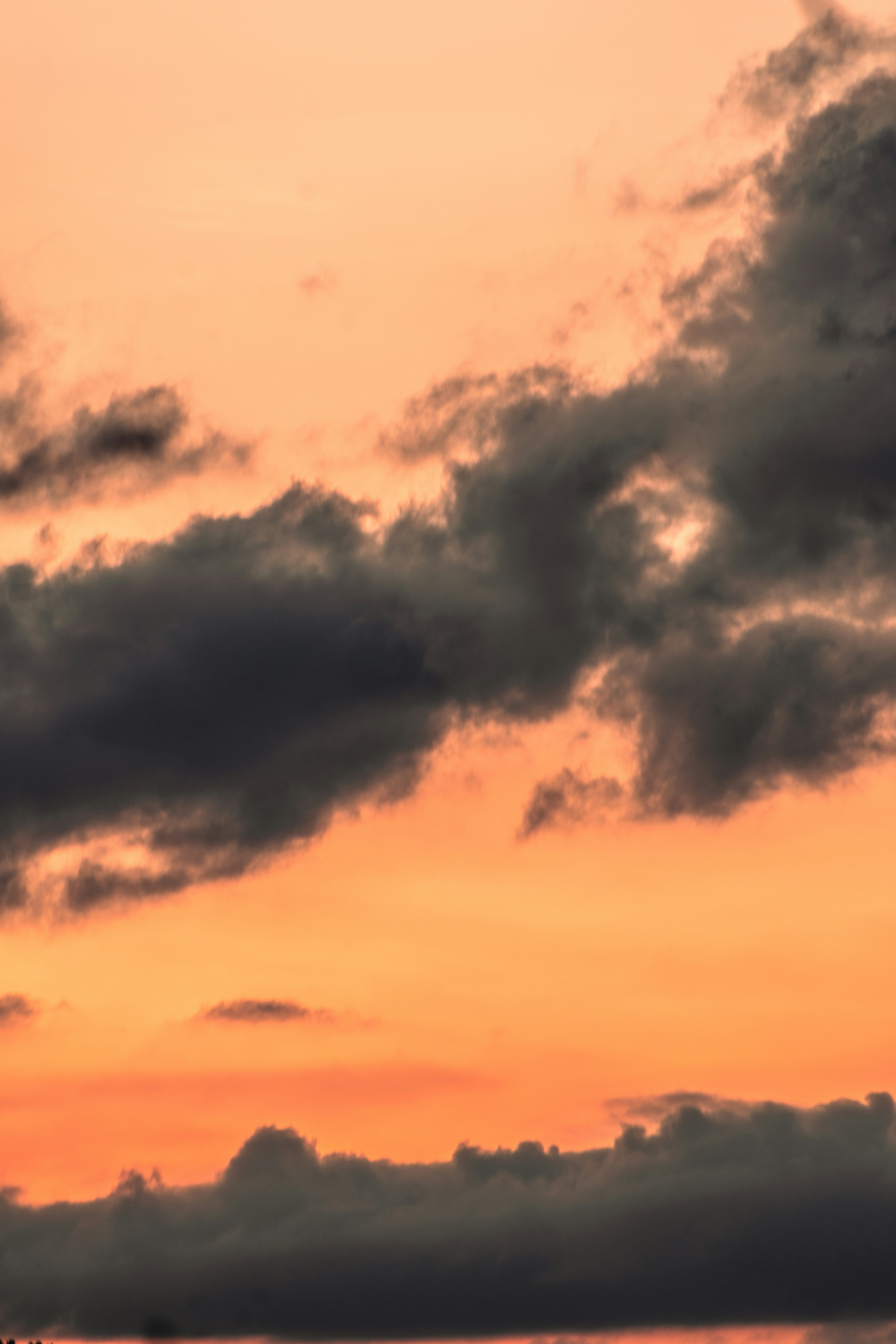 Photo by stevecameup