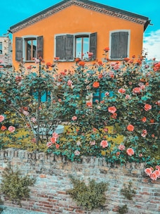 Charming brown house with a front porch and orange flowers in the garden.