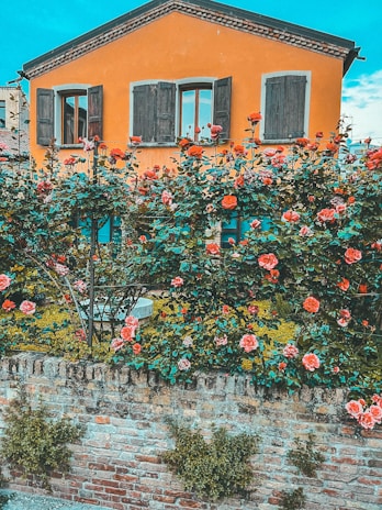 Charming home with orange accents and a welcoming front porch in a quiet neighborhood