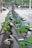 A row of rental bicycles neatly lined up in a city bike-sharing station, with green and grey color schemes. The background features a street with a pedestrian crossing and green trees behind a black iron fence. There are people walking and cars on the street, indicating an urban environment.