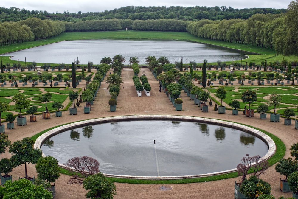 a large pond surrounded by lots of trees