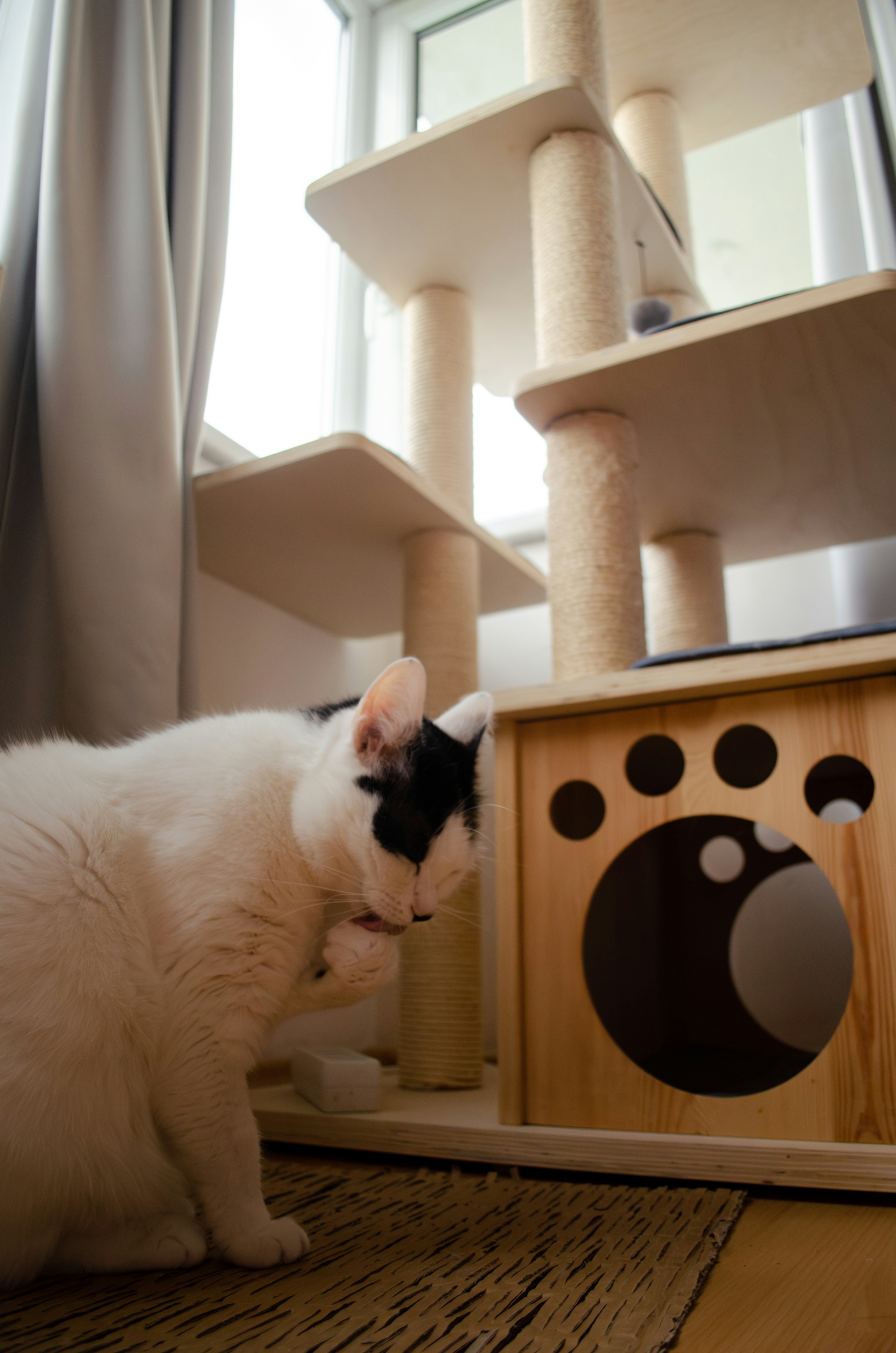 gray computer monitor