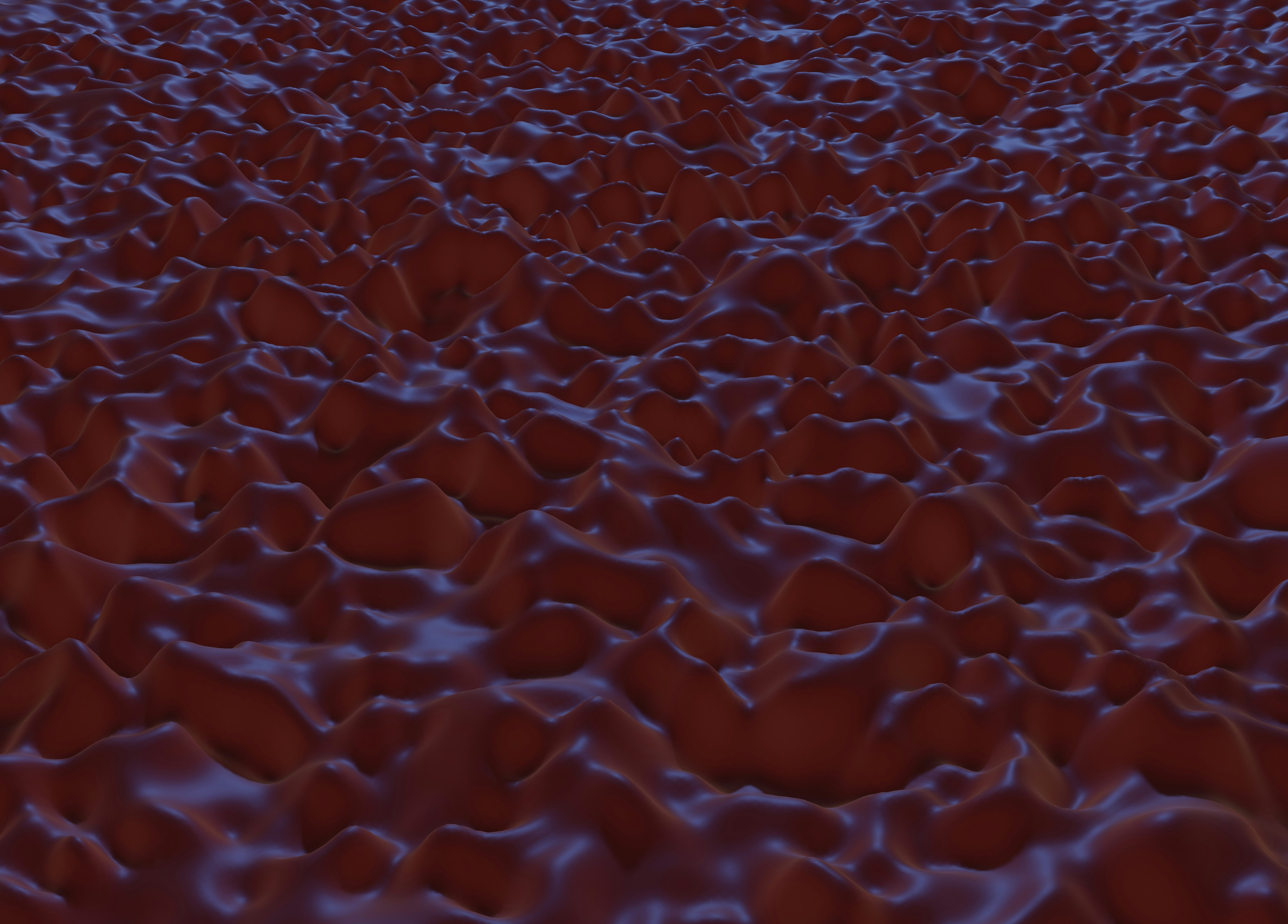 Photo by salcrocejpg