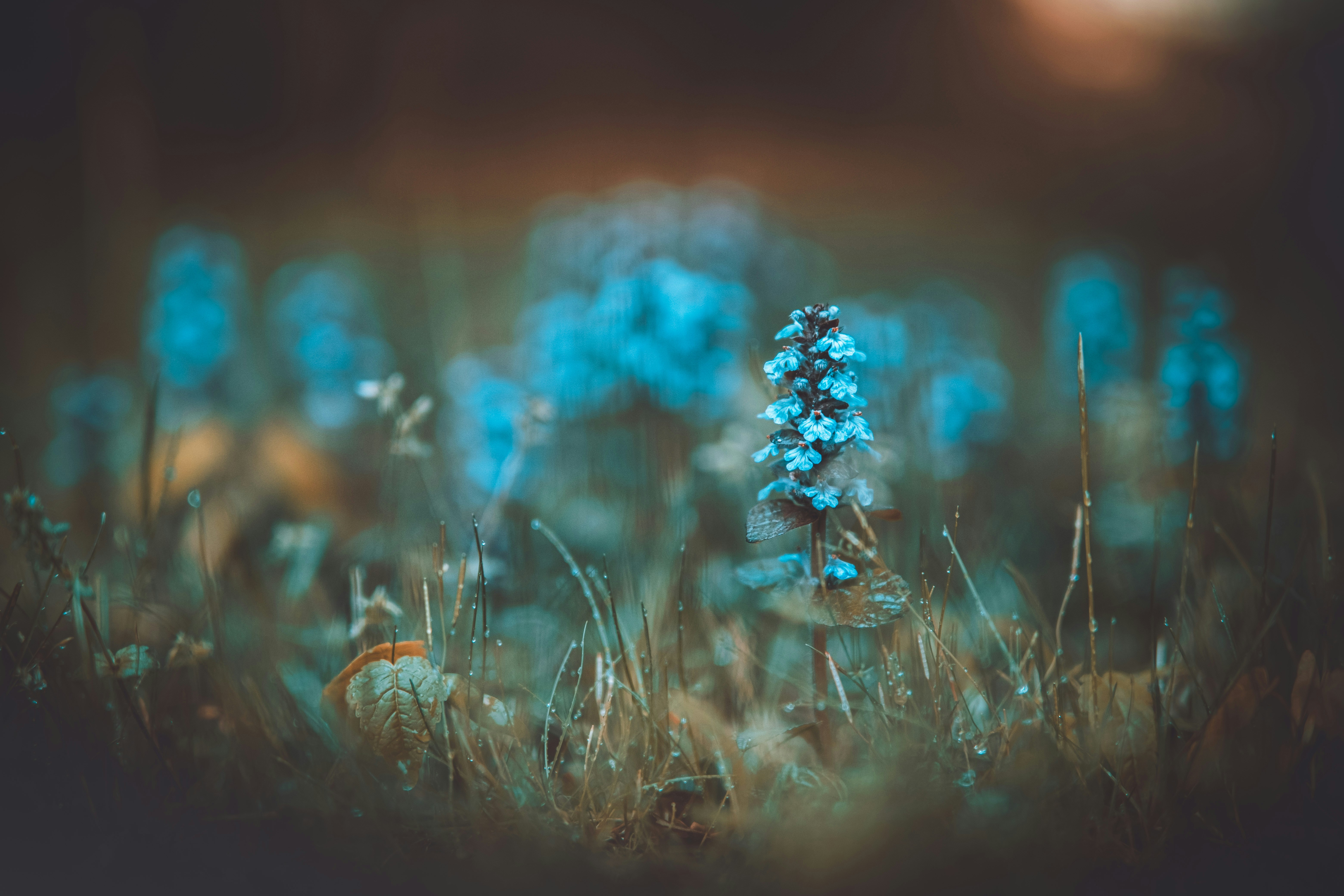 Photo by egorkomarov