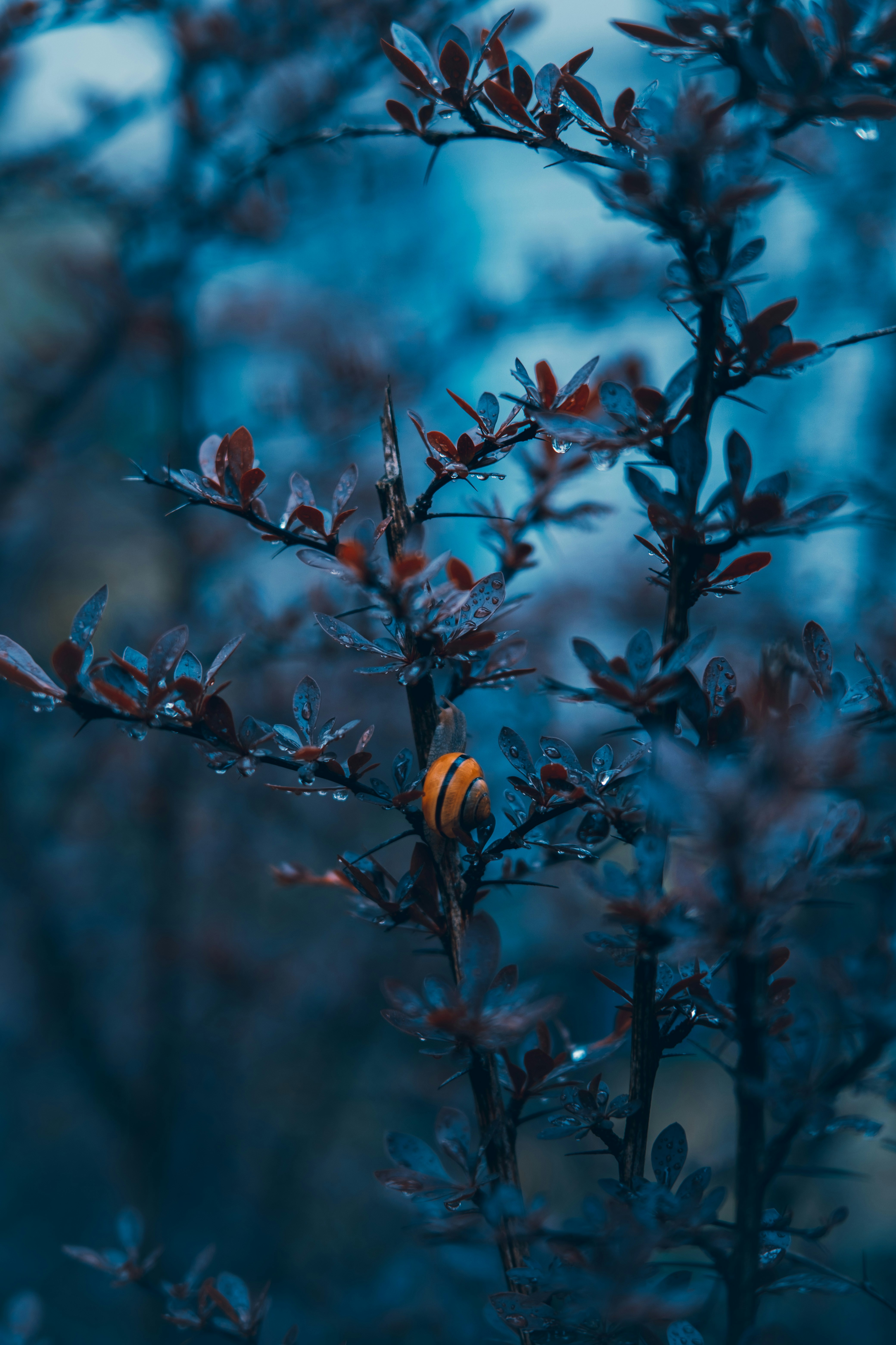 Photo by egorkomarov
