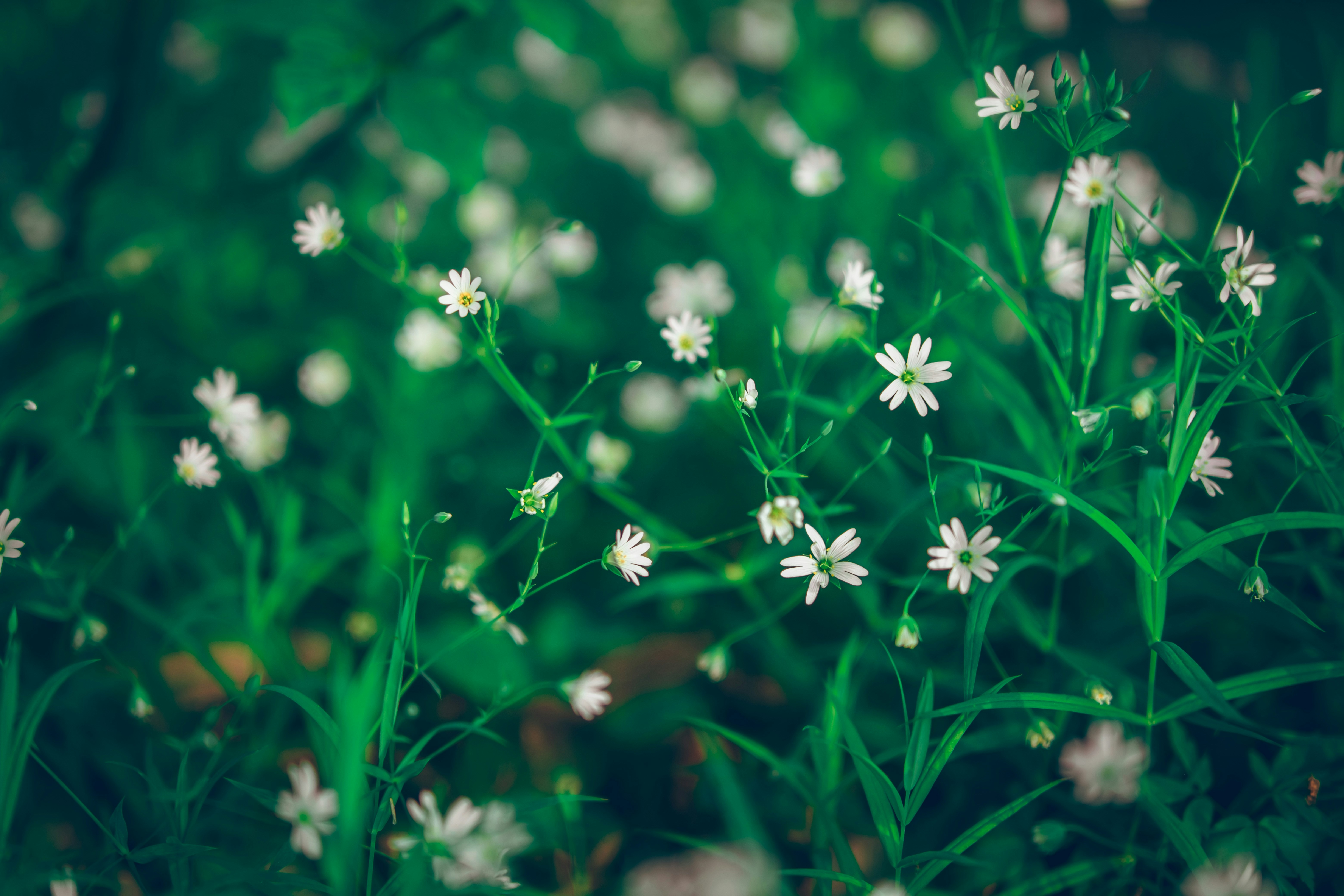 Photo by egorkomarov