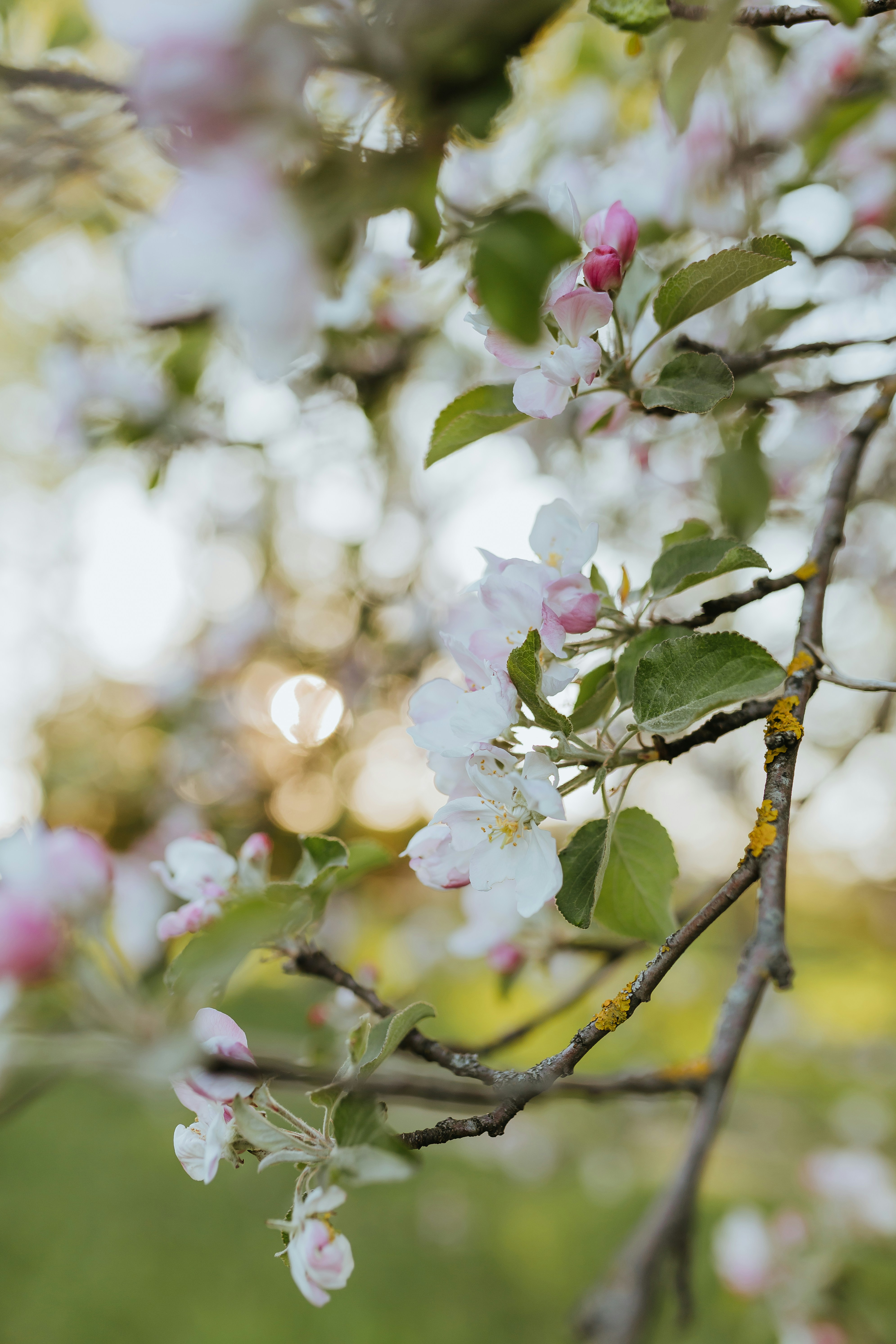 Photo by daiga_ellaby