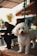 A small white fluffy dog with a blue bandana around its neck stands on a wooden table or platform. The dog appears happy and has its tongue out. In the background, a person dressed in dark clothing is sitting, and there are blurred elements of a garden or outdoor setting with chairs and a structure.