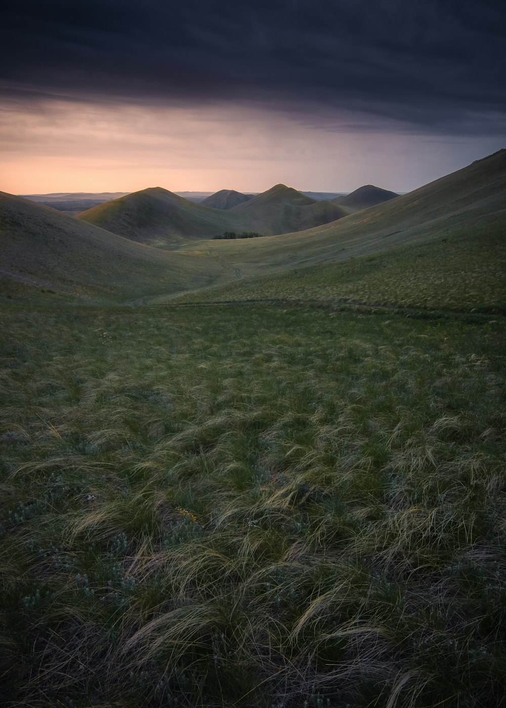 a grassy field with mountains in the background