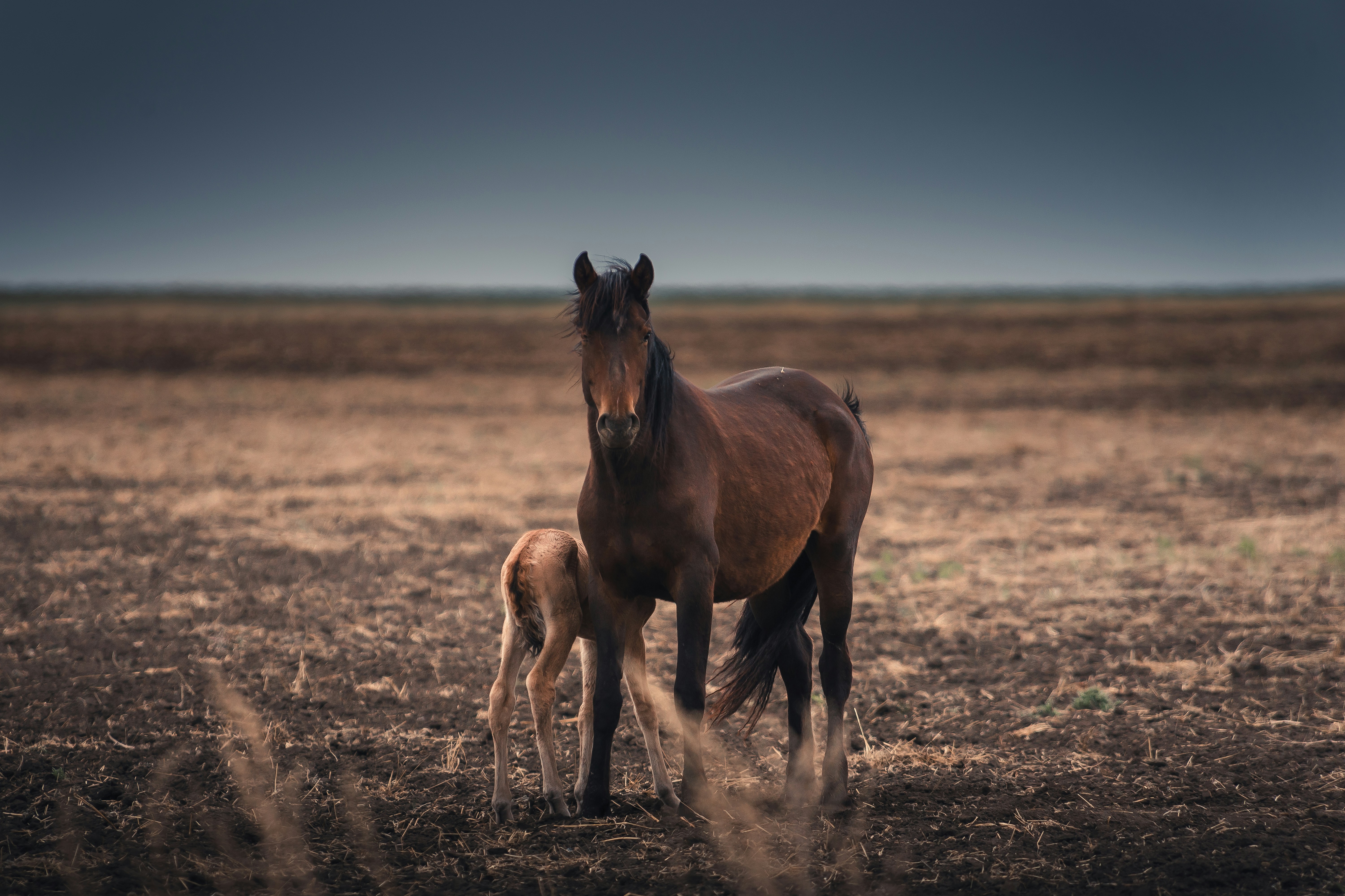Photo by betagamma