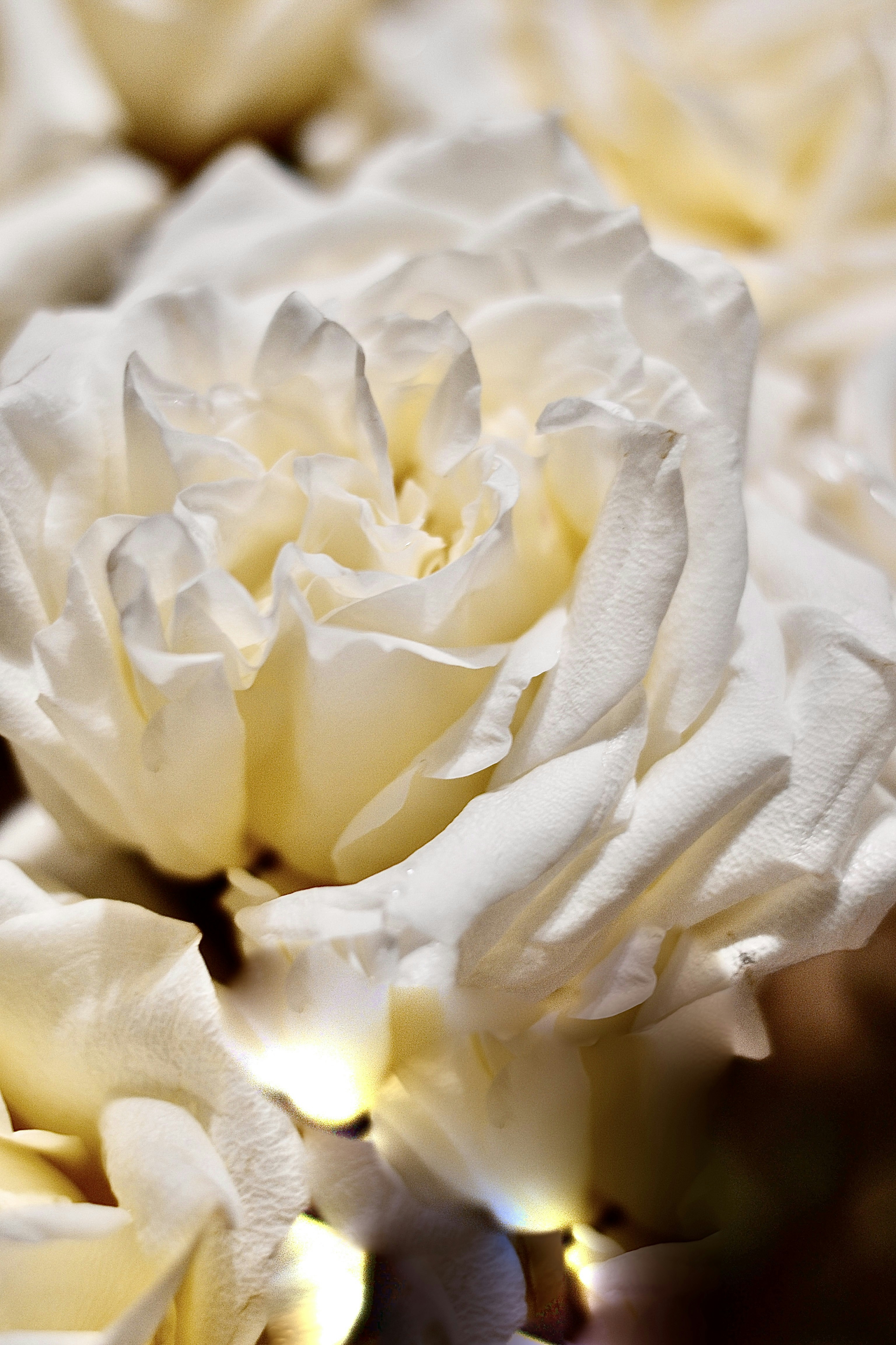 Photo by anastasiiad