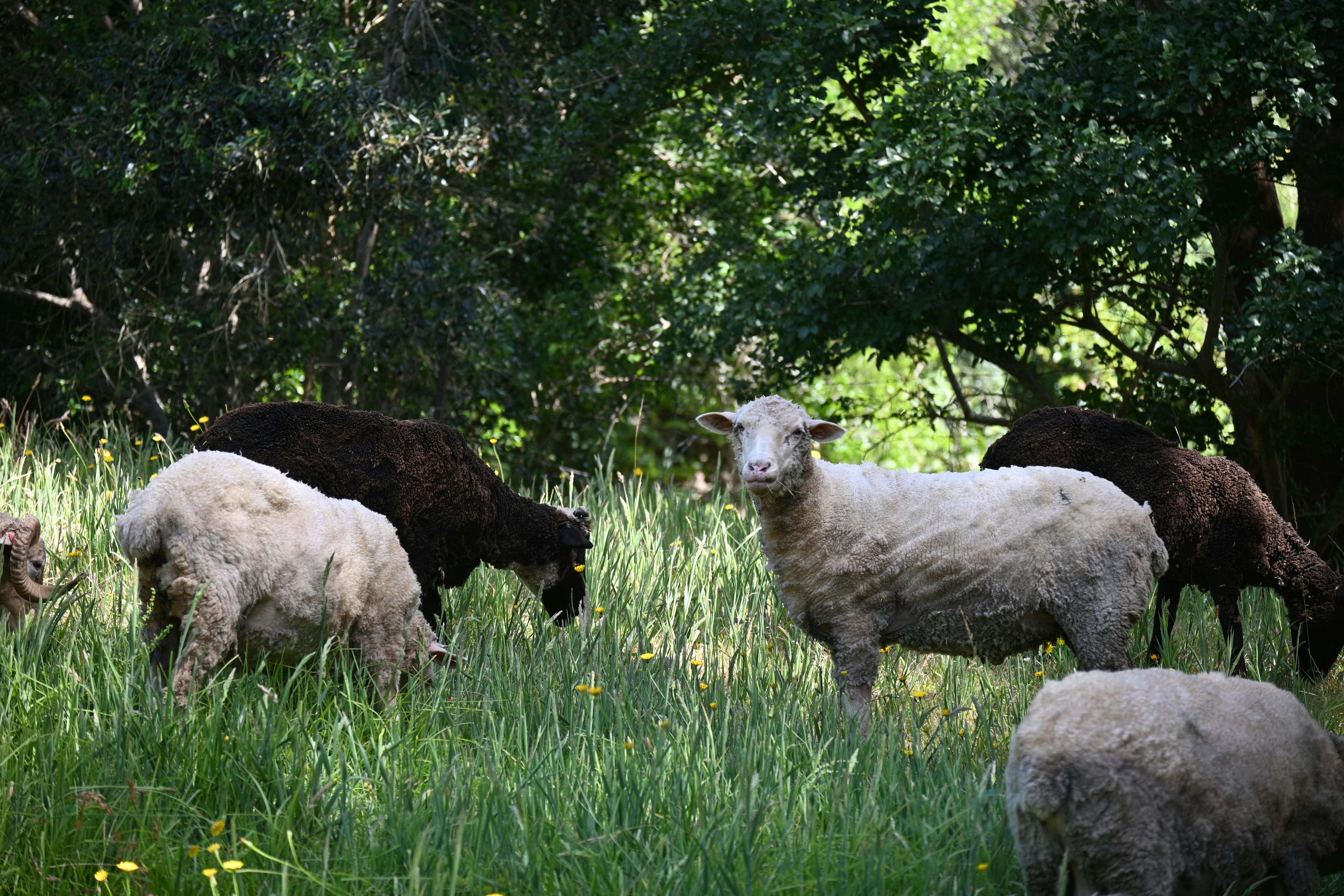 Photo by tanyapaquet