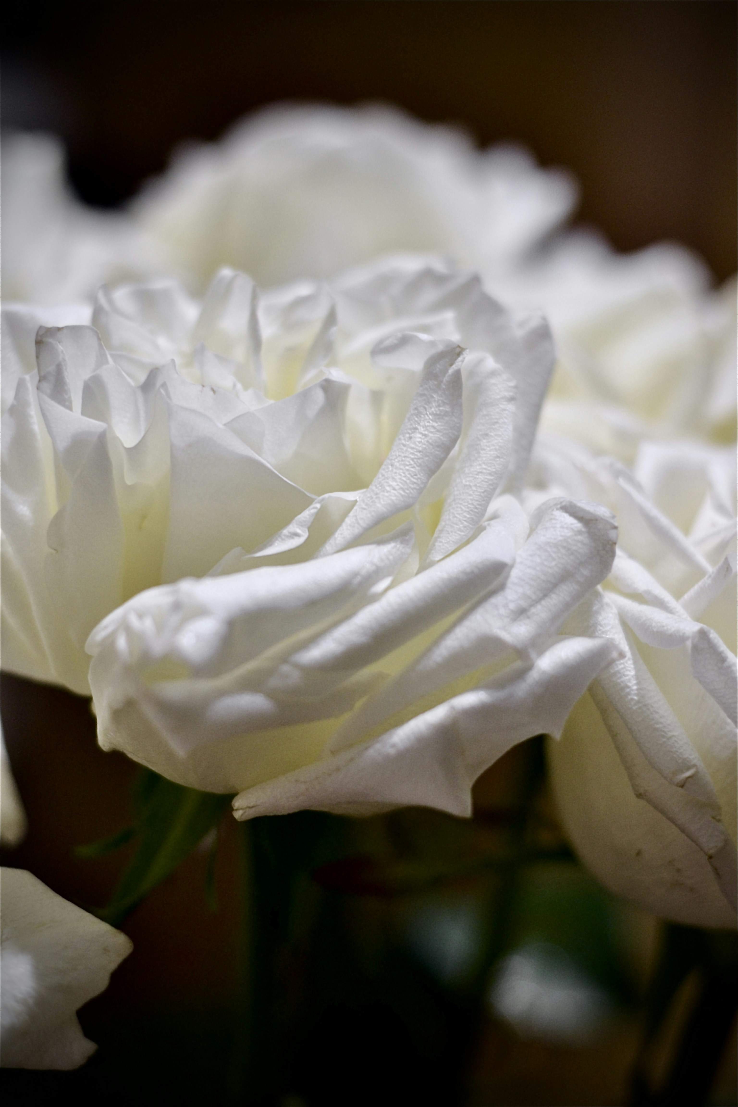 Photo by anastasiiad