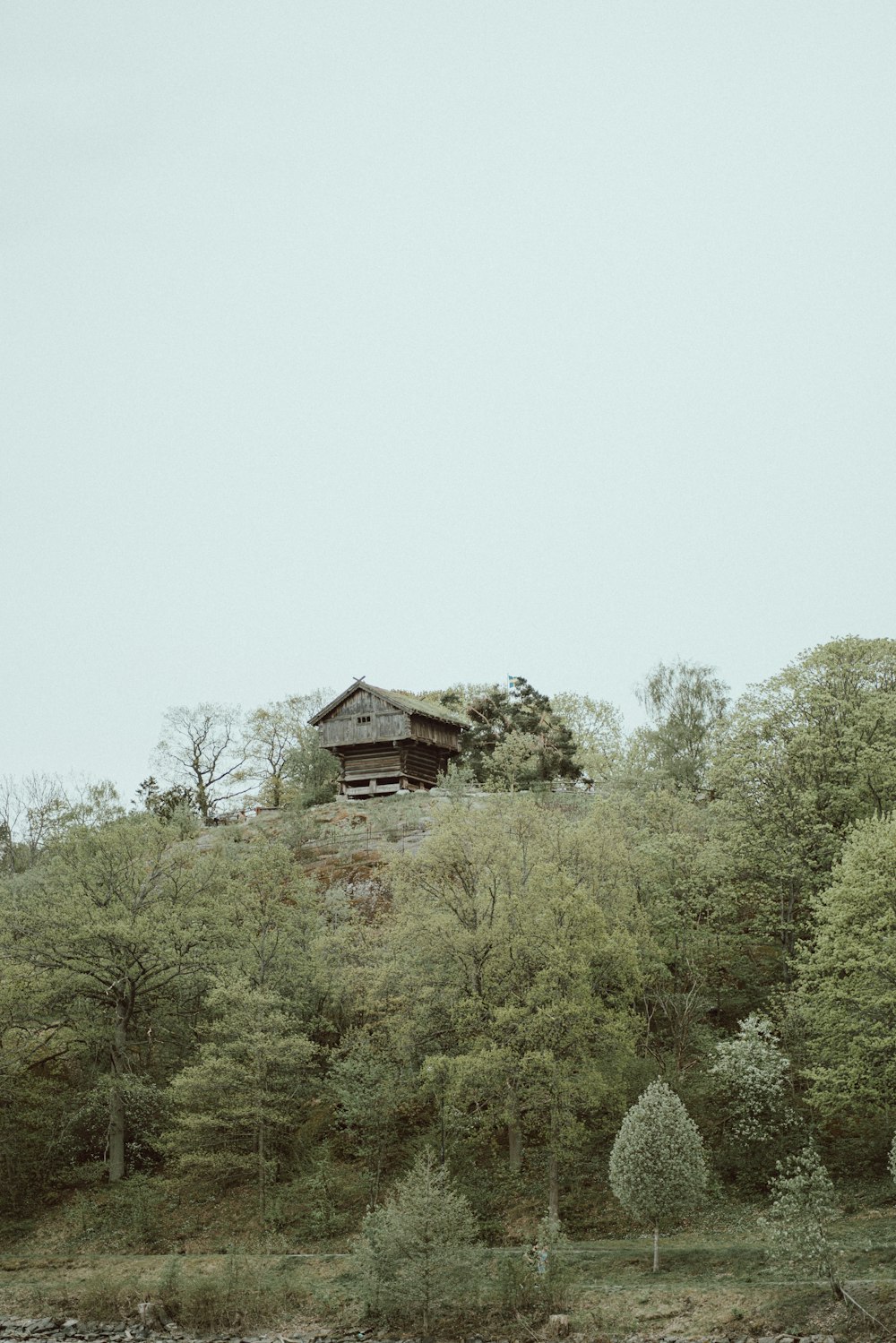 a house sitting on top of a lush green hillside