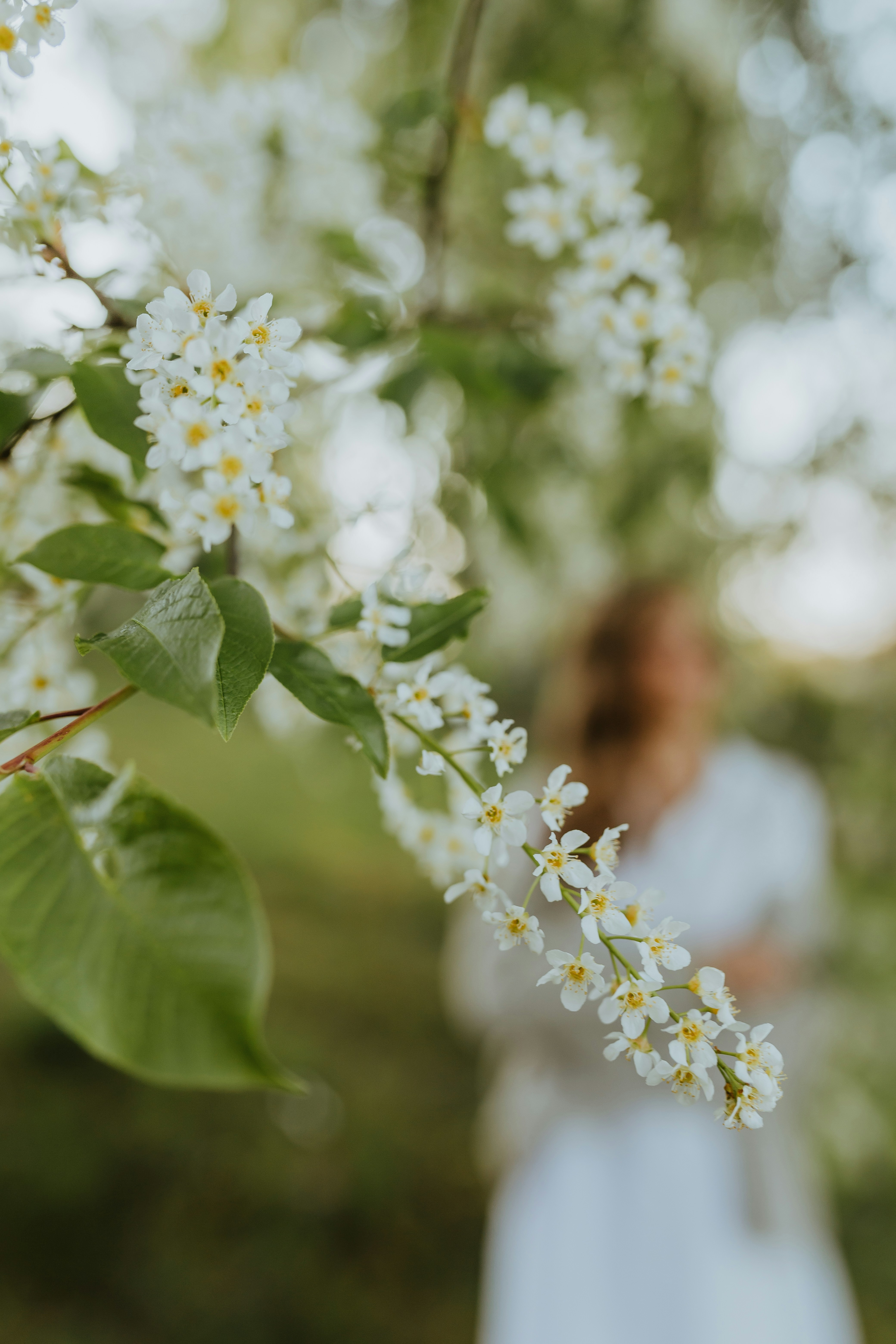 Photo by daiga_ellaby