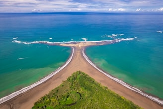 an aerial view of a beach and ocean