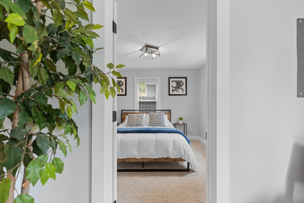 a bedroom with a bed and a plant in the corner