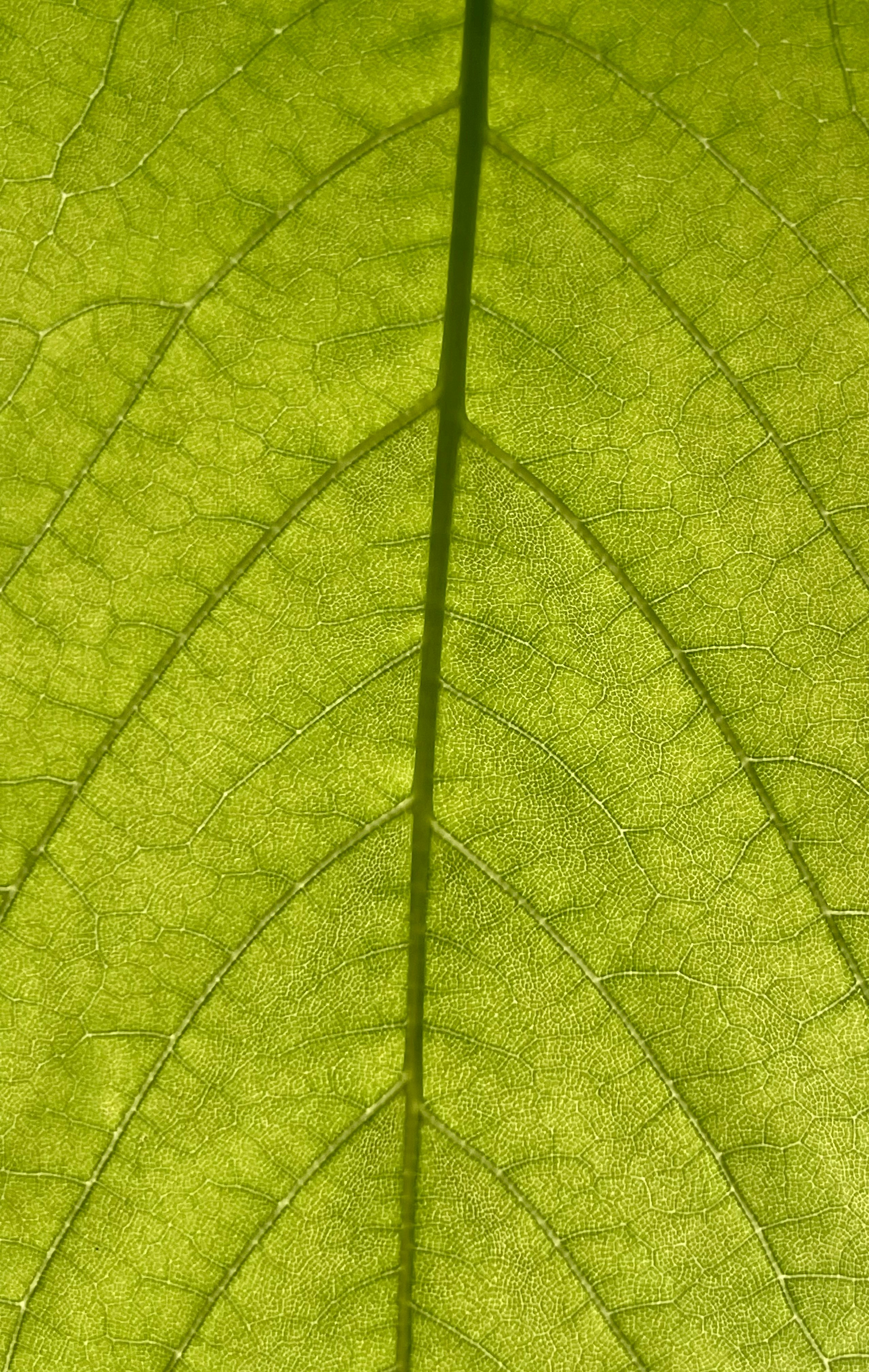 Photo by hdbernd
