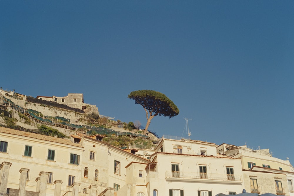 a building with a tree on top of it