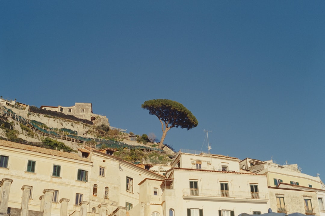 a building with a tree on top of it,