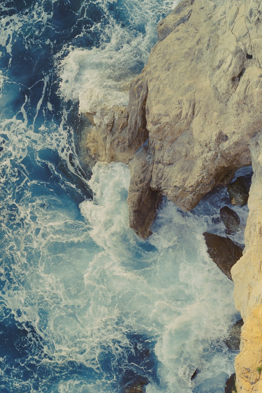 a bird sitting on top of a rock next to the ocean