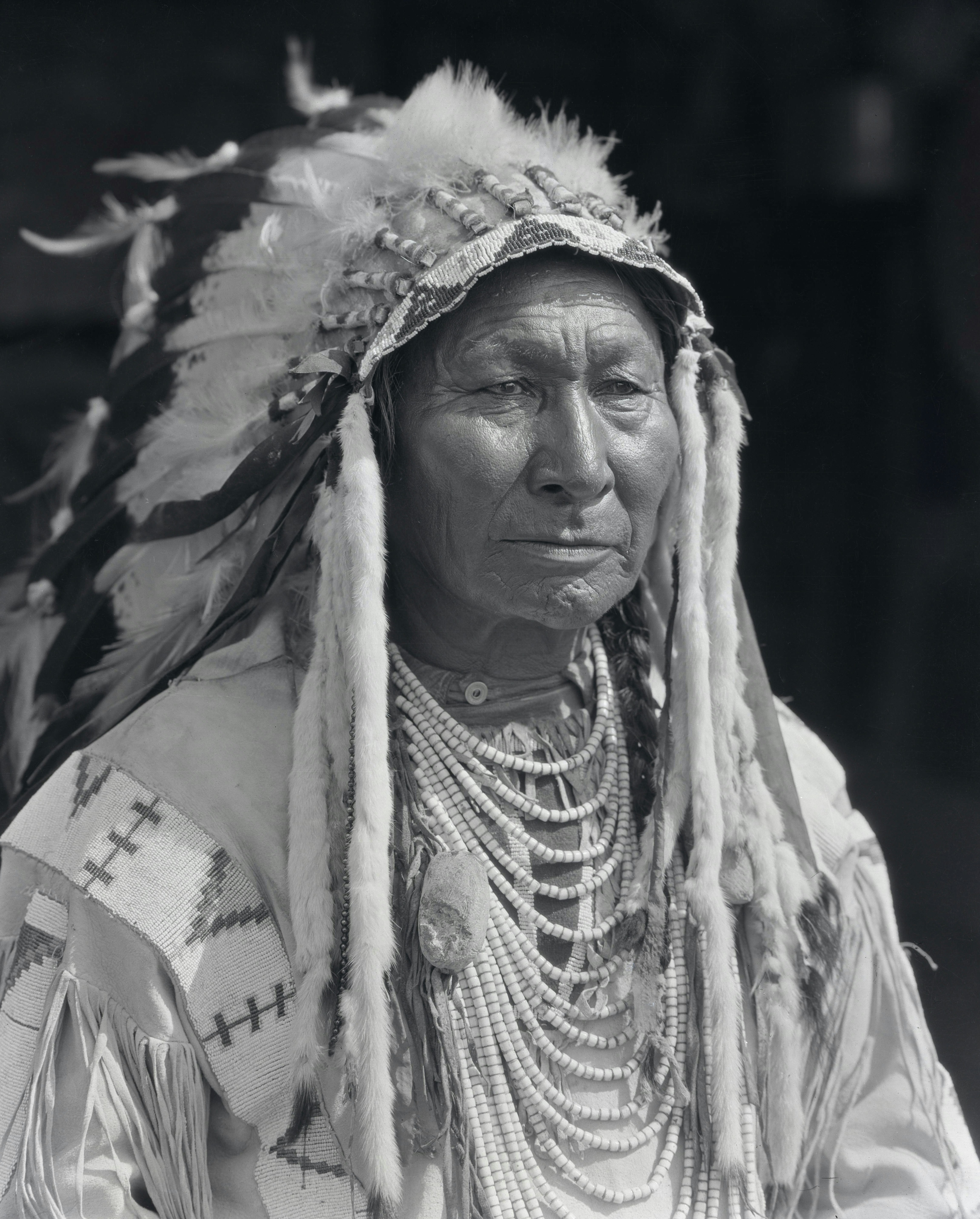 Portrait of Martin Horses of the Kainai Nation From the Harry Pollard fonds, P1.