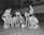 A group of female basketball players in uniforms gathers around a coach who is crouching near a basketball. They appear to be strategizing or planning, with the coach pointing at the court. The background includes a balcony with people observing the scene.
