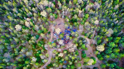 Scout group setting up a military tent amid a dense forest clearing.
