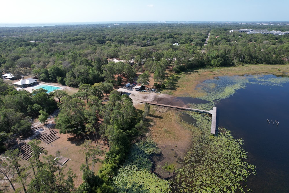 a large body of water surrounded by trees