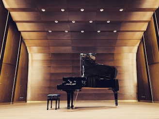 A grand piano and bench are placed on a wooden stage inside a concert hall. The walls and ceiling are composed of wooden panels with spotlights illuminating the area.