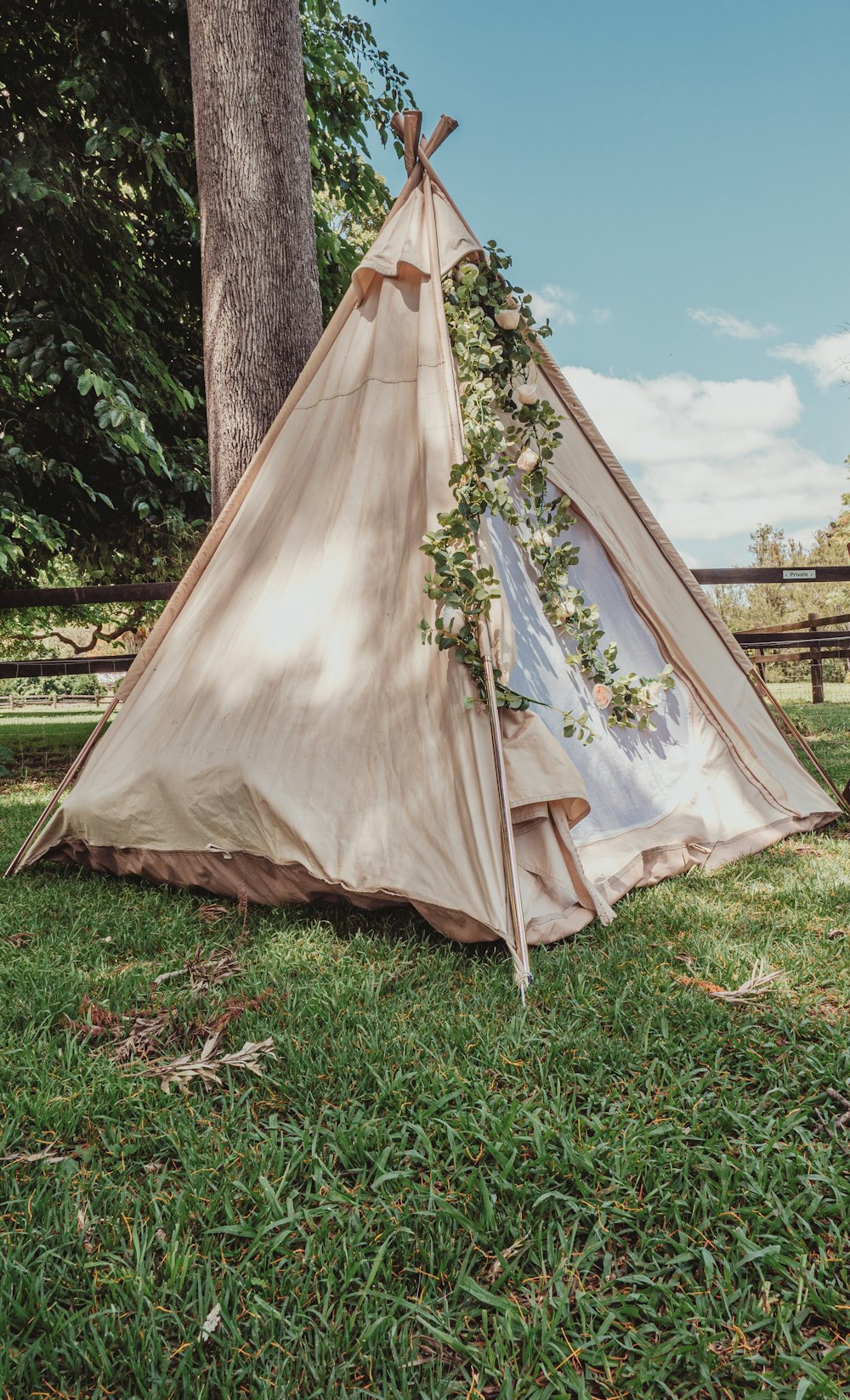 a teepee is set up in the grass near a tree