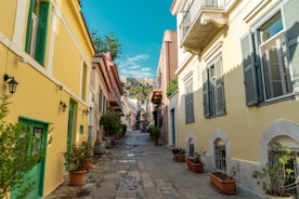 a narrow cobblestone street lined with potted plants