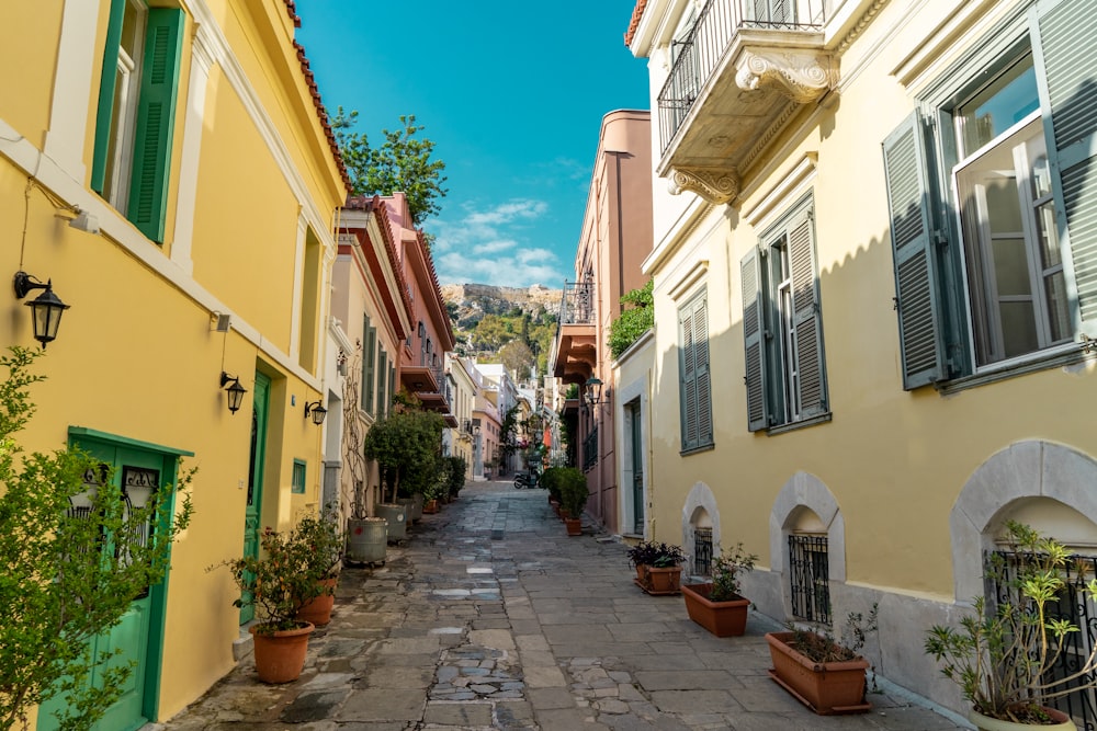 a narrow cobblestone street lined with potted plants