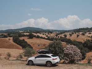 A spacious white SUV parked near a scenic outback landscape.