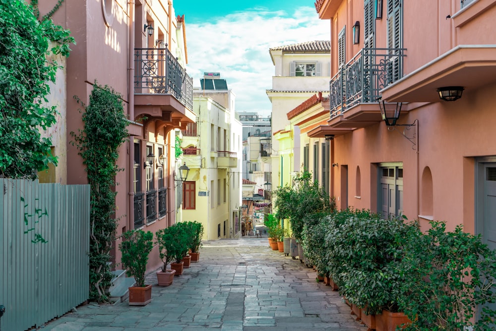 a narrow alley way with potted plants on either side