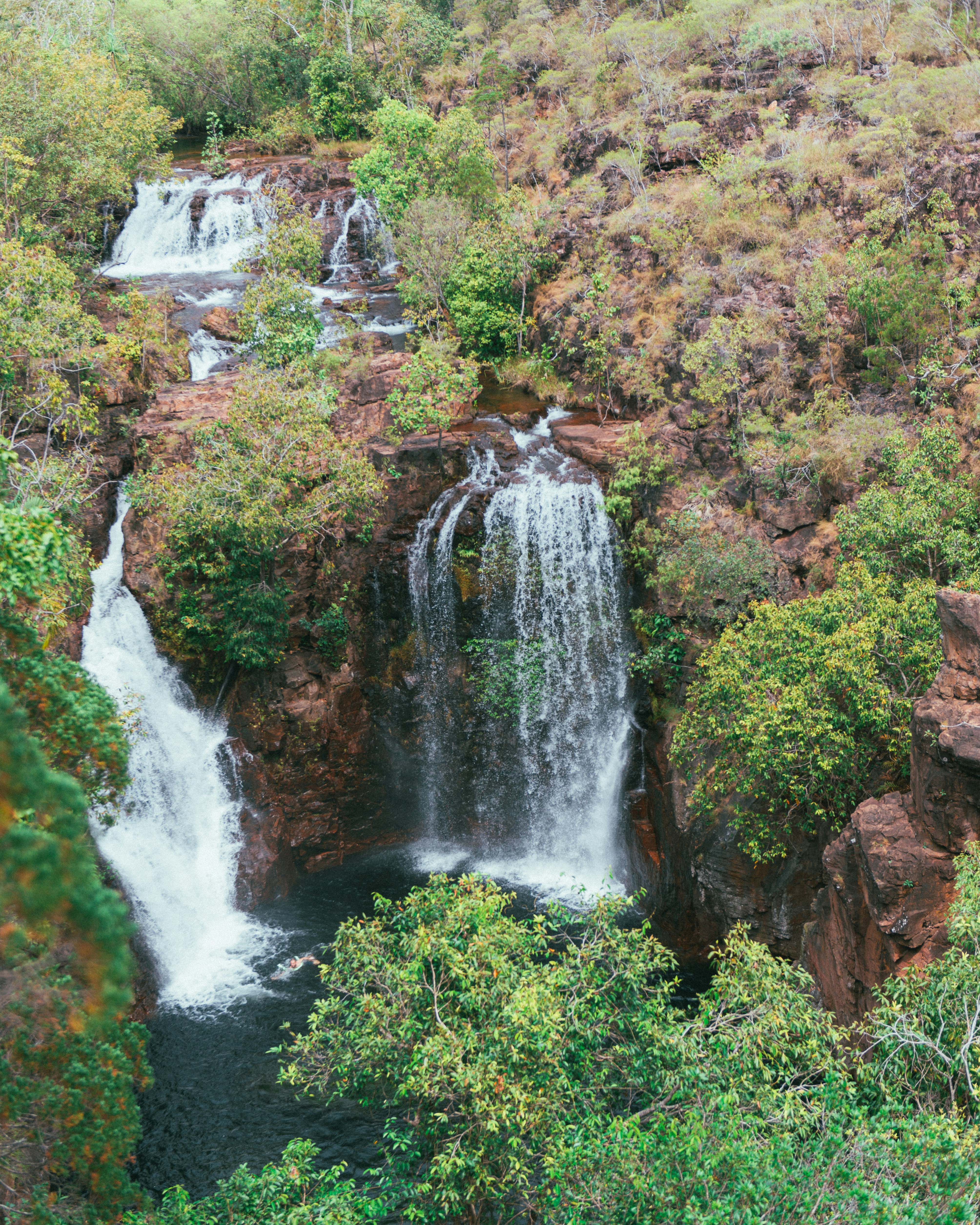 a waterfall in the middle of a forest