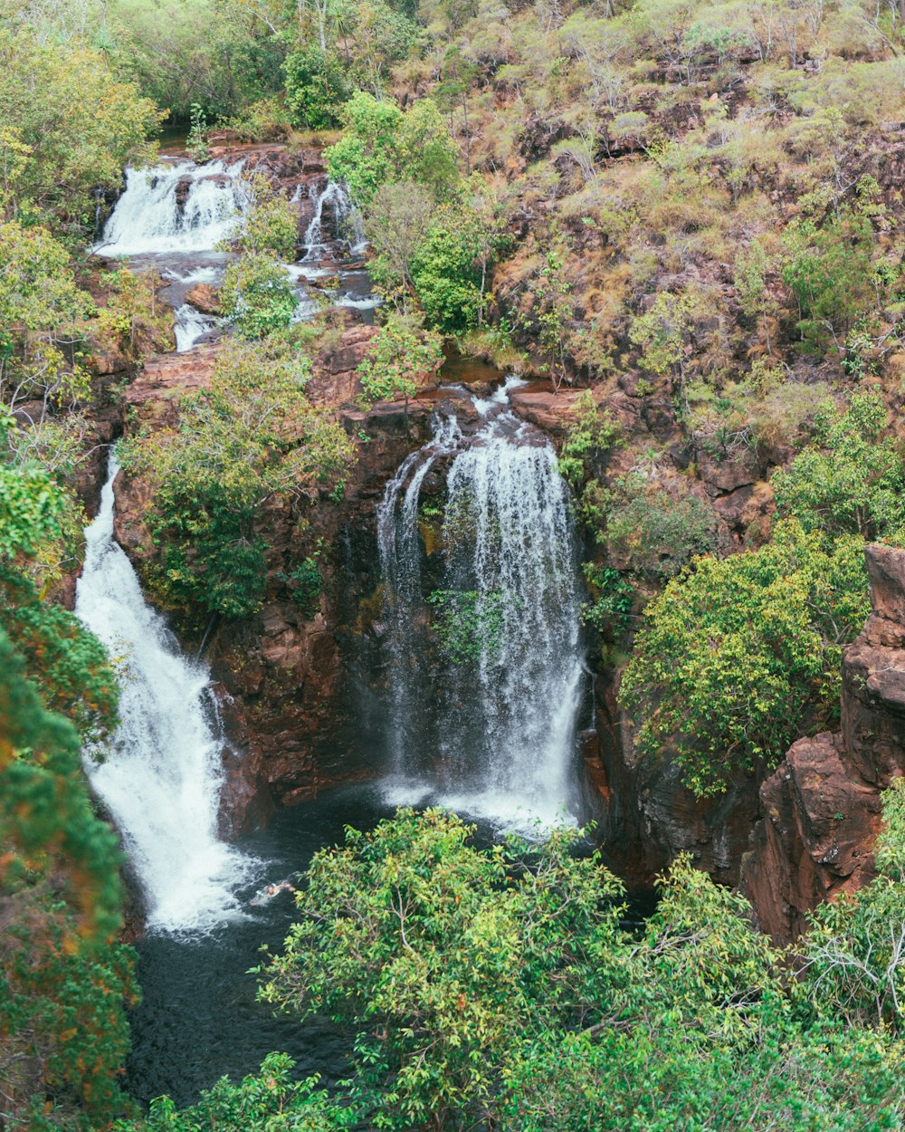 a waterfall in the middle of a forest