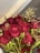 A close-up view of a bouquet of red roses interspersed with small white flowers. The roses have lush, deep red petals with hints of green from the stems and leaves. Some of the petals show signs of slight wilting.
