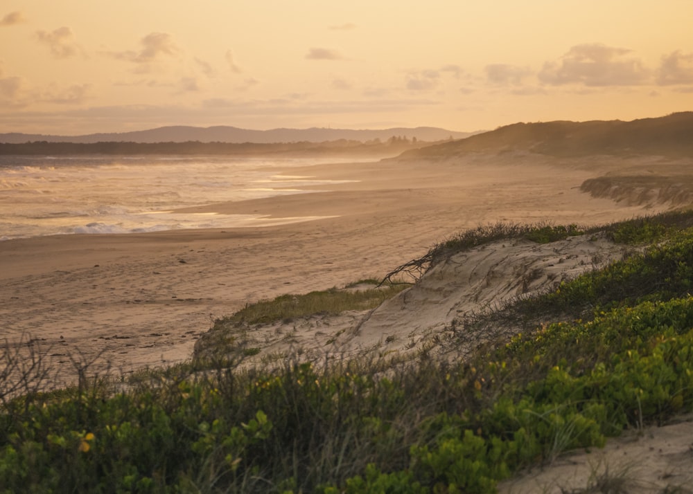 a sandy beach next to the ocean at sunset