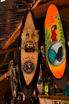 Two handcrafted decorated paddles hang side by side. One features a colorful depiction of a parrot with greenery and a blue bird. The other paddle showcases a sculpture of an owl with a textured head and body, along with butterfly motifs.