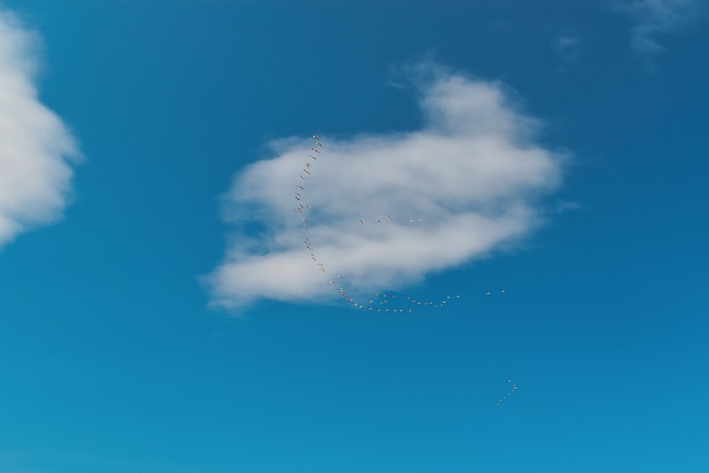 a group of people flying kites in the sky